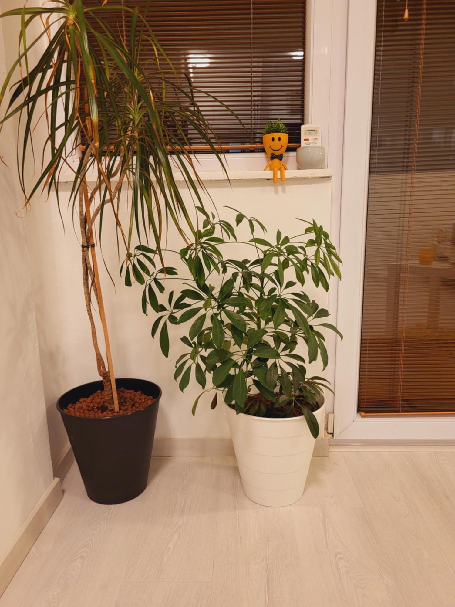 City Center White Apartment! Skopje Zewnętrze zdjęcie